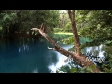 Tropical Forest and River 1 399